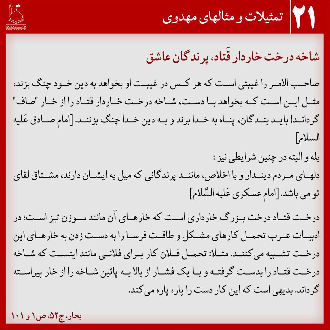 شاخه درخت خاردار قَتاد، پرندگان عاشق